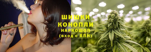 ПСИЛОЦИБИНОВЫЕ ГРИБЫ Ладушкин