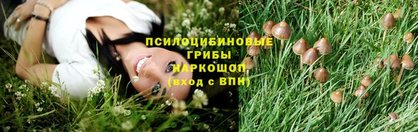 2c-b Липки