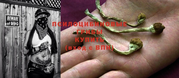 ГАЛЛЮЦИНОГЕННЫЕ ГРИБЫ Зеленодольск