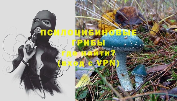 2c-b Липки