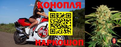 MDMA Premium VHQ Гай