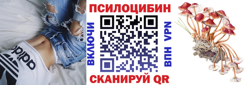 Псилоцибиновые грибы MAGIC MUSHROOMS  даркнет сайт  Нижневартовск 
