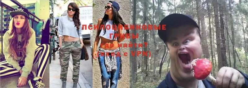 Галлюциногенные грибы Psilocybe  Нижневартовск 