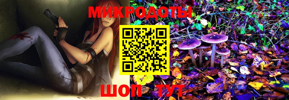Псилоцибиновые грибы Psilocybine cubensis  Псилоцибиновые грибы мицелий  Вход с VPN  Нижневартовск 